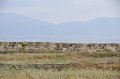 07 e_DSC_0008